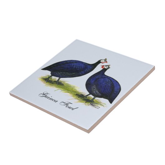 ギニーの王室のな紫色の組 タイル (側面)