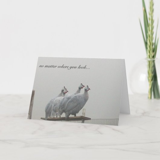 ギニーの眺望 カード (正面)