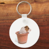 ギニーの豚 キーホルダー (正面)