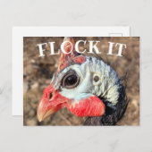 ギニーの鳥の木箱の看板 ポストカード (正面/裏面)