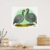 ギニーフランスの: ポスター (キッチン)