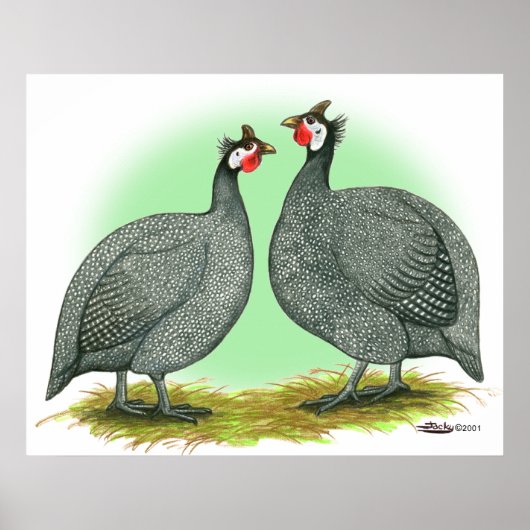 ギニーフランスの: ポスター (正面)