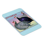 ギニー三鳥 マグネット (右側)