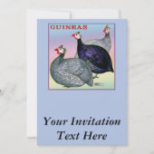 ギニー三鳥 招待状 (正面)