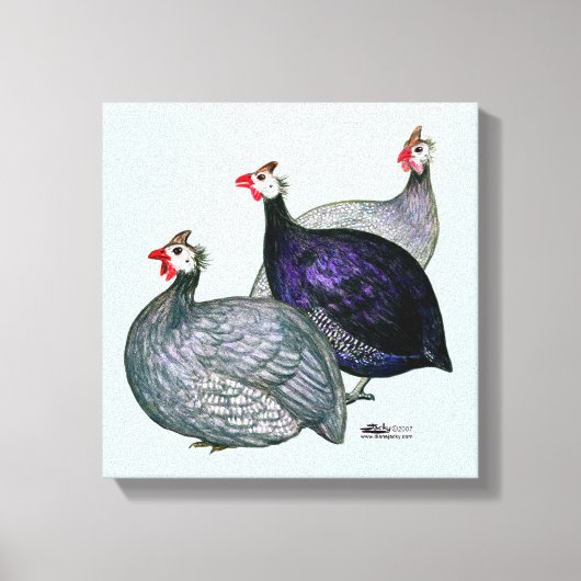 ギニー三 キャンバスプリント (正面)