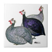 ギニー三 タイル (正面)