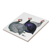 ギニー三 タイル (側面)