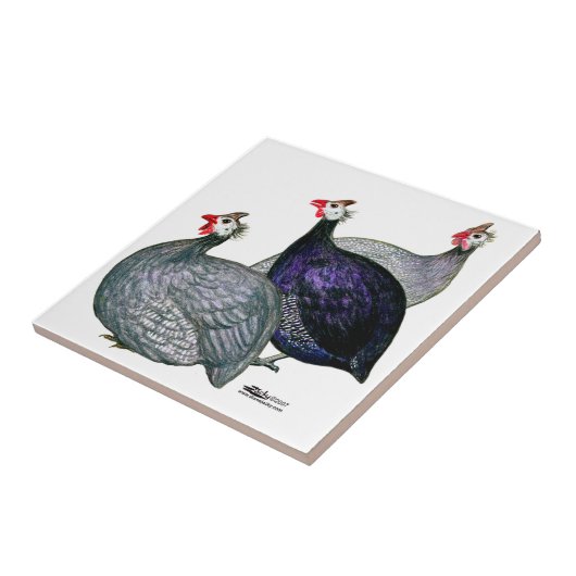 ギニー三 タイル (側面)