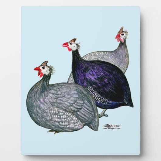 ギニー三 フォトプラーク (正面)