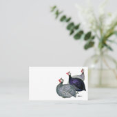 ギニー三 名刺 (スタンド正面)