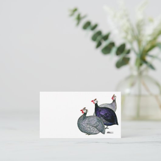 ギニー三 名刺 (スタンド正面)