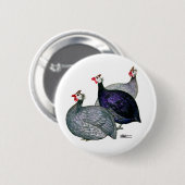 ギニー三 缶バッジ (正面&裏面)