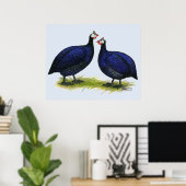 ギニー王室の紫色ペア ポスター (ホームオフィス)