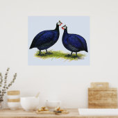 ギニー王室の紫色ペア ポスター (キッチン)