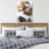 ギニー豚がキャンバスに近い印刷をする キャンバスプリント (インサイチュ (寝室))