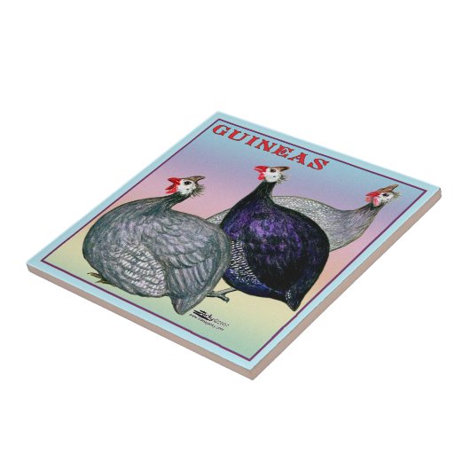 ギニー3の家禽 タイル (側面)
