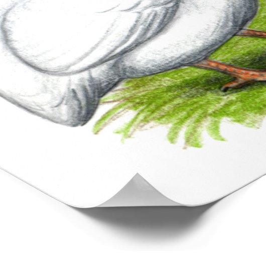 ギニー：白 ポスター (角)