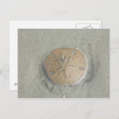 ギビリップスのビーチ写真の砂金 ポストカード (正面/裏面)