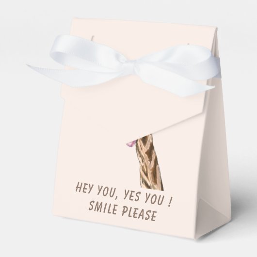 ギフトおもしろいボックスよくはしゃぐギリン – カスタム文字 フェイバーボックス (正面サイド)