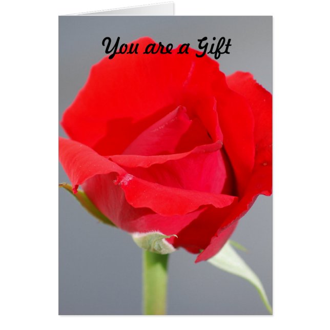 ギフトです (正面)