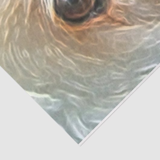 ギフトとデコパージュのためのゴールデンドードルティッシュペーパー 薄葉紙 (詳細)