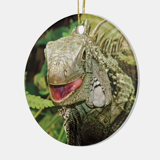ギフトのオーナメントをつるしているイグアナ セラミックオーナメント (左)