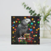 ギフトの上のアフリカグレイ — 祝祭のグリーティングカード シーズンカード (スタンド正面)