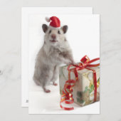 ギフトを持つサンタクロースのハムスター シーズンカード (正面/裏面)