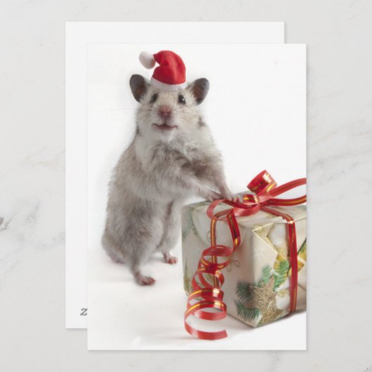ギフトを持つサンタクロースのハムスター シーズンカード (正面/裏面)