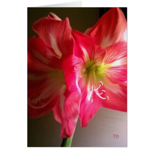 ギフトカード (正面)