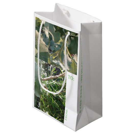 ギフトバッグ/カードセット/ メトロポリムデザイン スモールペーパーバッグ (正面アングル)