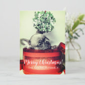 ギフトフランスのボックスの爪先付きブルドッグパピー シーズンカード (スタンド正面)