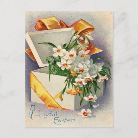 ギフトプレゼントDaffodil Jonquil ポストカード (正面)