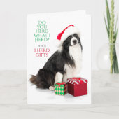 ギフトヘディング縁どコリーとサンタハットホリデイ シーズンカード (正面)