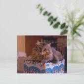 ギフトボックスに入ったマイクリスマス子猫 シーズンポストカード (スタンド正面)
