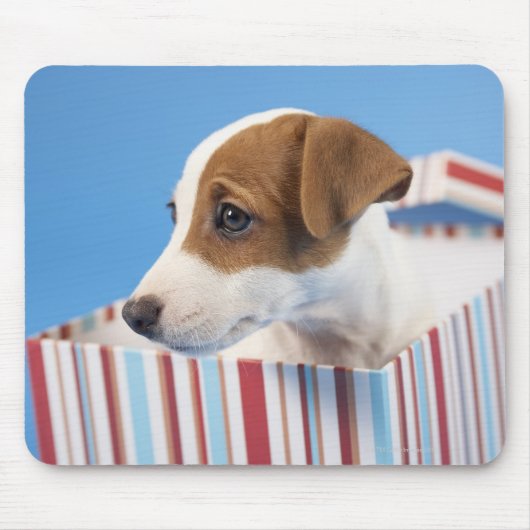 ギフトボックスに入った犬 マウスパッド (正面)