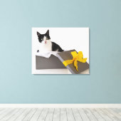 ギフトボックスに白黒の猫のスタジオショット キャンバスプリント (インサイチュ (ウッドフロア))