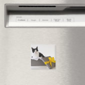 ギフトボックスに白黒の猫のスタジオショット マグネット (インサイチュ (食洗機))
