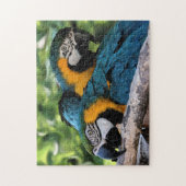 ギフトボックス/パロット付きパズル ジグソーパズル (縦)