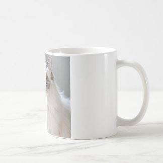 ギフトマグ コーヒーマグカップ