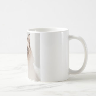 ギフトマグ コーヒーマグカップ