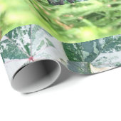 ギフトラッピングペーパー ラッピングペーパー (ロールコーナー)