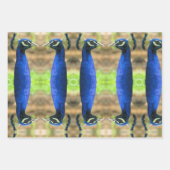 ギフトラップ-ピーコックの画像 ラッピングペーパーシート (正面3)