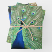 ギフトラップ-ピーコックの画像 ラッピングペーパーシート (インサイチュ)