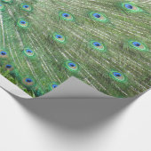 ギフトラップ – 孔雀 (角)