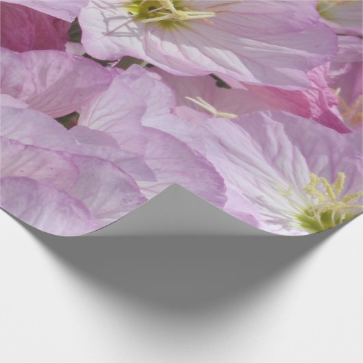 ギフトラップ – Primrose (角)