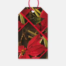 ギフトラベルポインセチアクリスマスホリデイ ギフトタグ