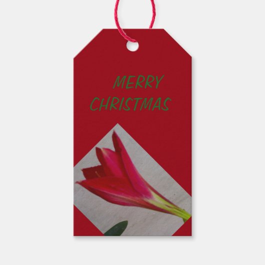 ギフトラベル ギフトタグ (正面)