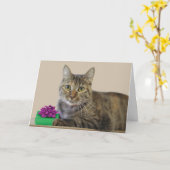 ギフト付き猫誕生日 カード (黄色い花)