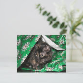 ギフト包まれた亀 ポストカード (スタンド正面)